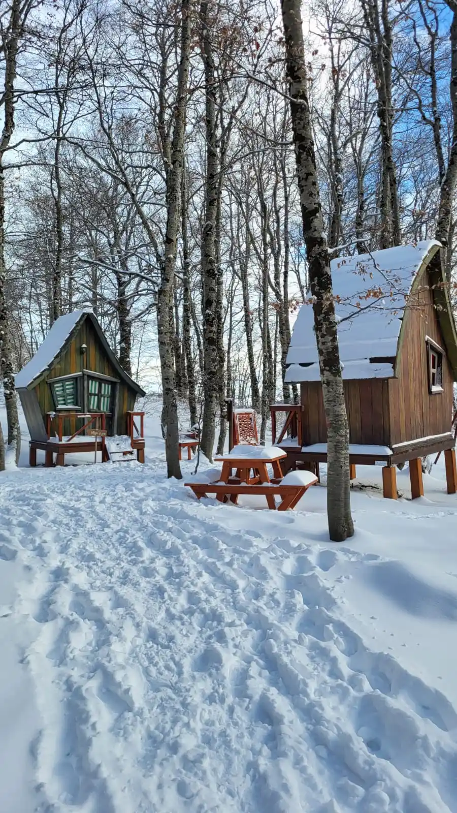 Ciaspolata Abruzzo | Il Bosco delle Meraviglie di Roccaraso Ciaspolata Abruzzo | Il Bosco delle Meraviglie di Roccaraso slide