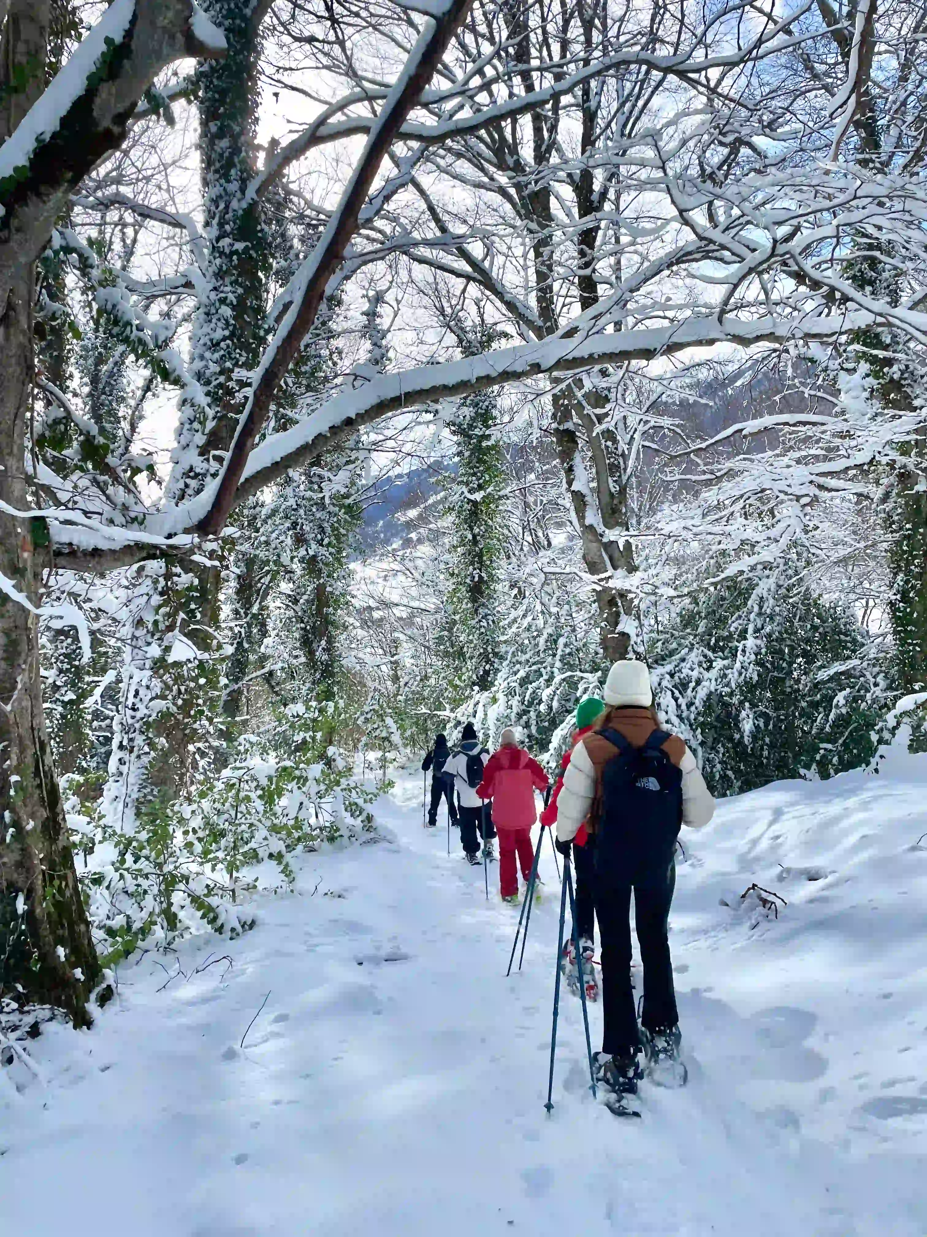 Pescocostanzo (AQ) – Ciaspolata al Bosco di Sant’Antonio Pescocostanzo (AQ) – Ciaspolata al Bosco di Sant’Antonio slide